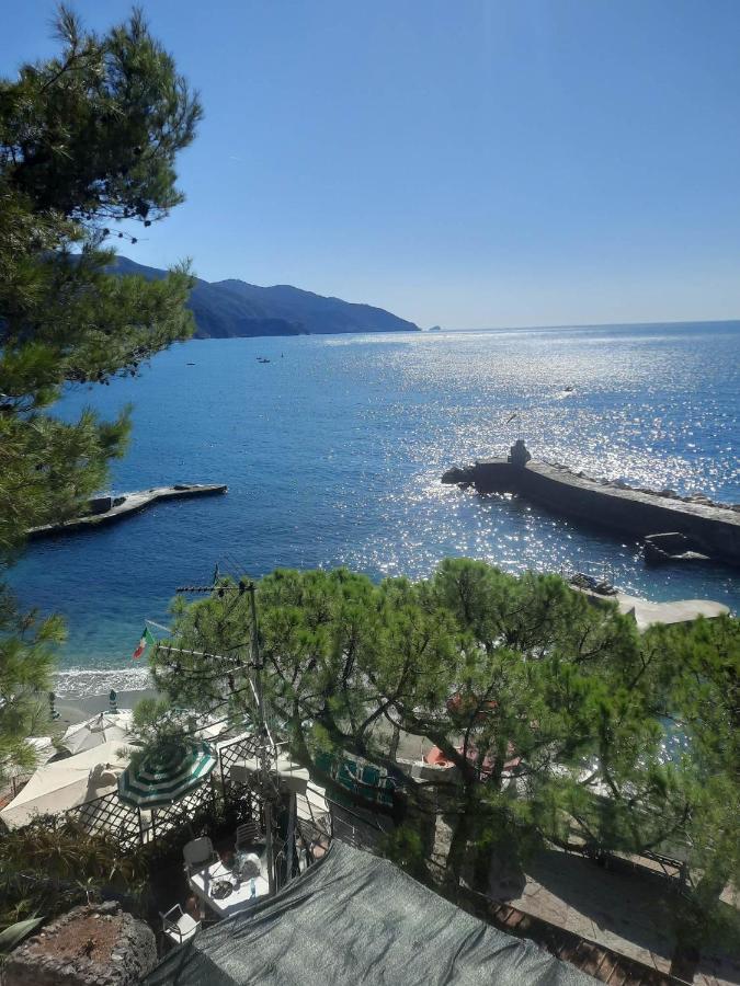 Magic Mer Saint-Raphael  Luaran gambar