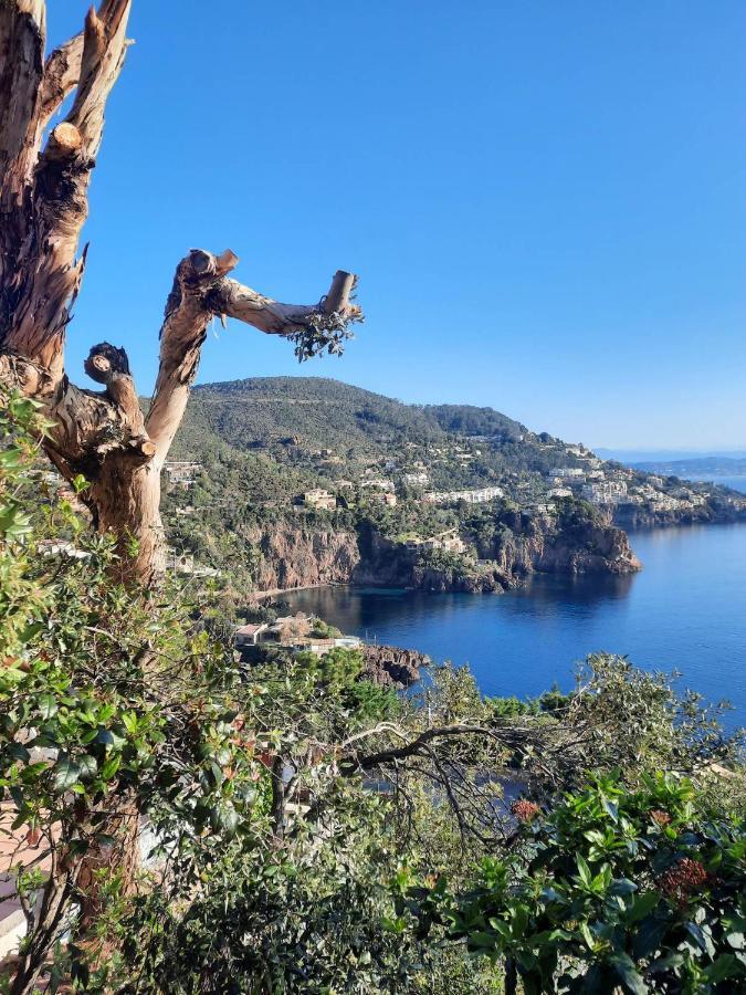 Magic Mer Saint-Raphael  Luaran gambar